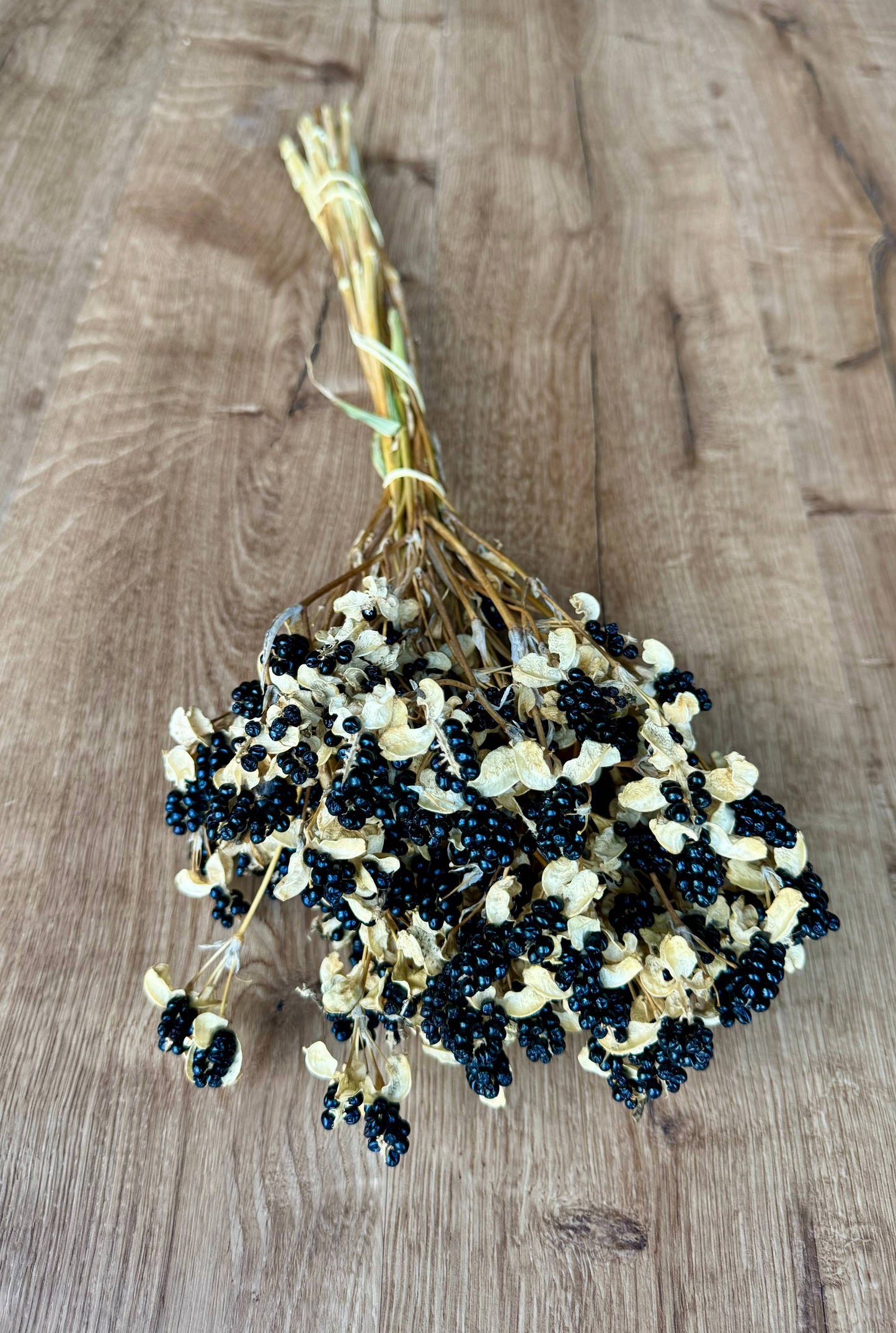 Dried Blackberry Lillies
