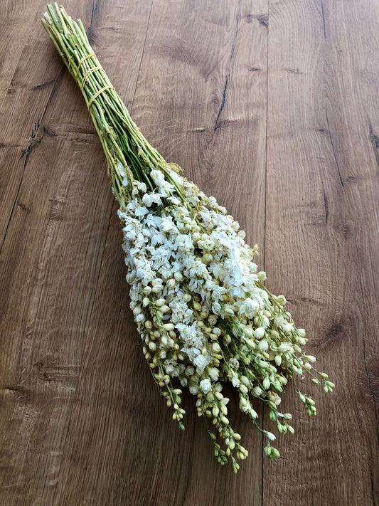 Dried Larkspur | White