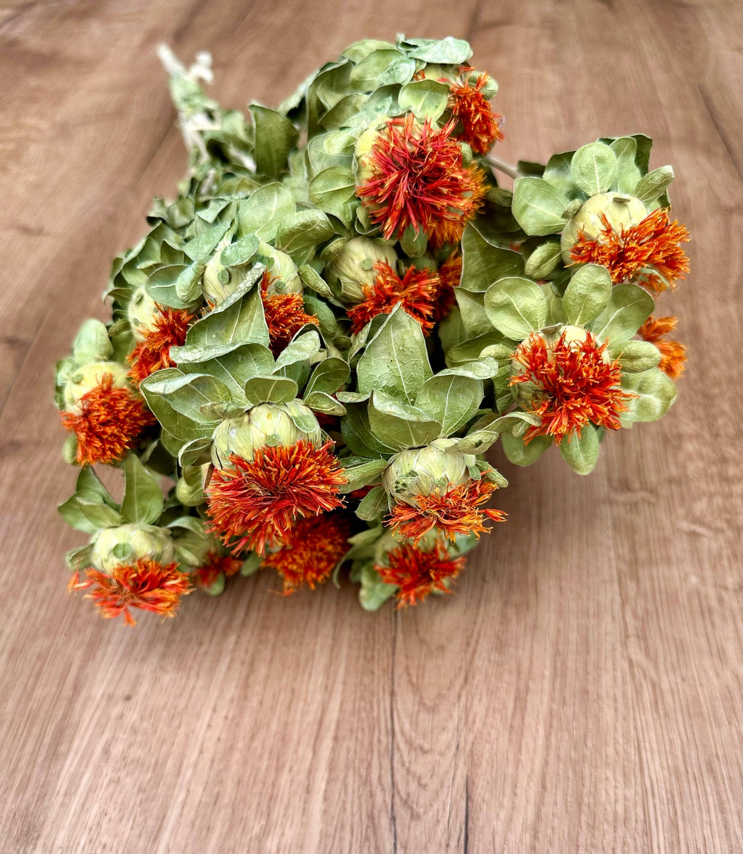 Dried Safflower | Orange