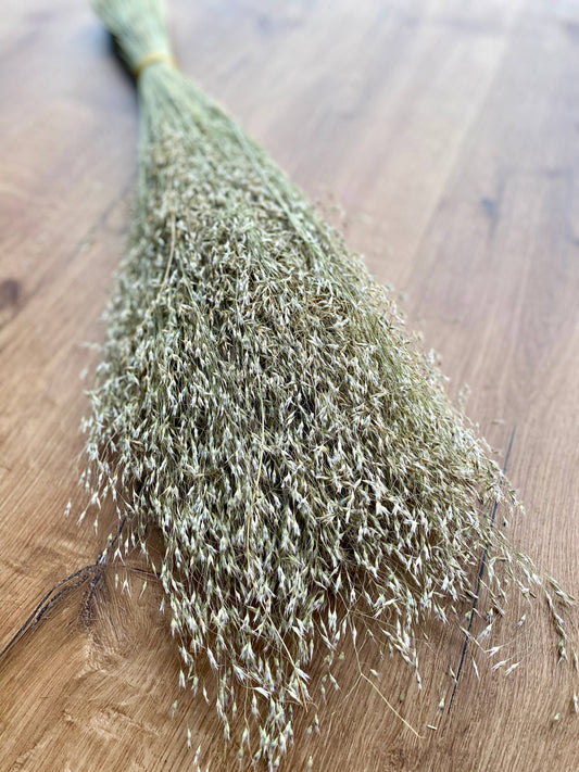 Dried Indian Rice | Grass
