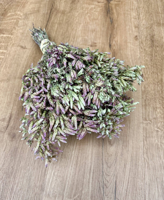 Dried Santa Cruz Oregano