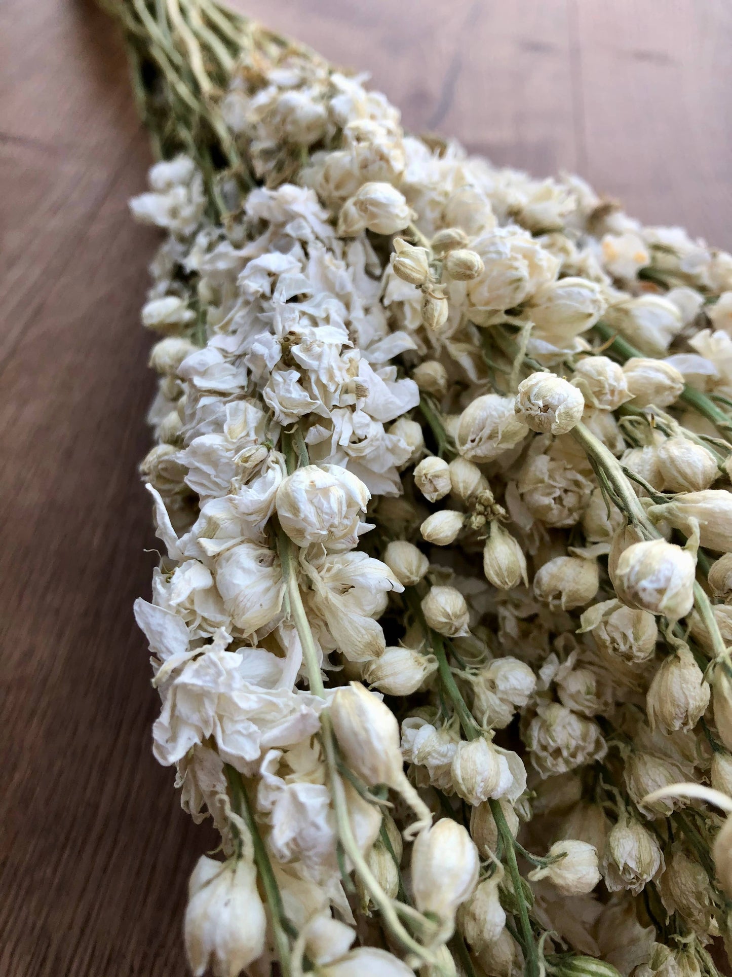 Dried Larkspur | White
