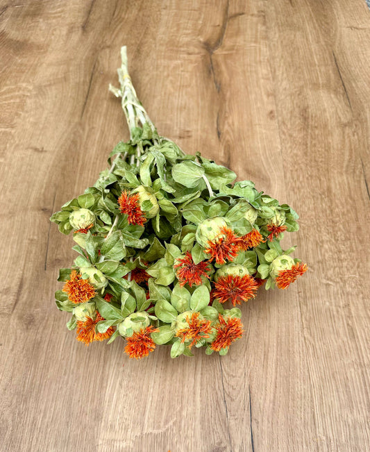 Dried Safflower | Orange