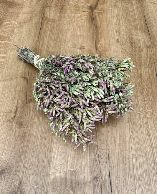 Dried Santa Cruz Oregano