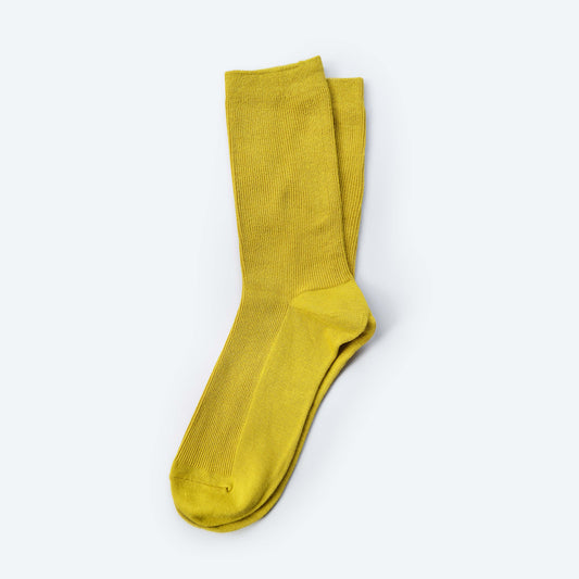 Socks | Munsell Green Crew Sock | Women's