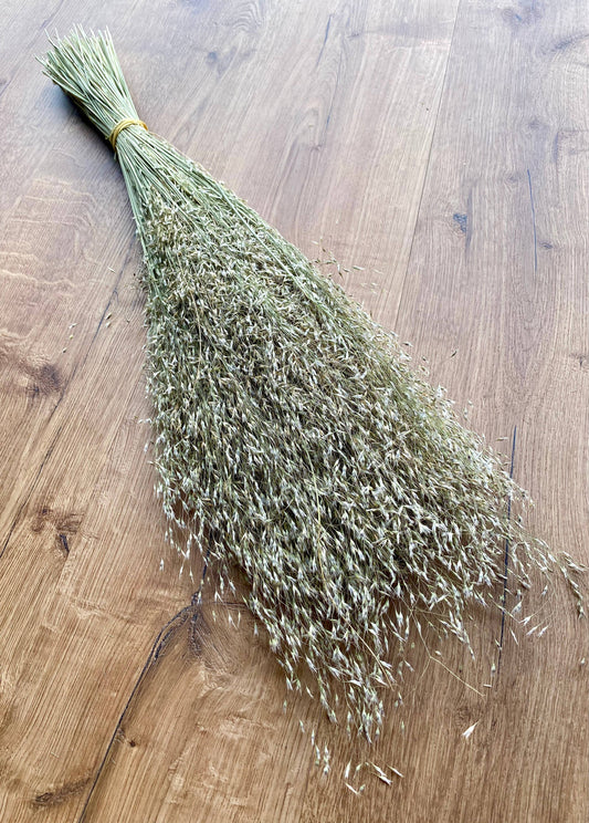 Dried Indian Rice | Grass