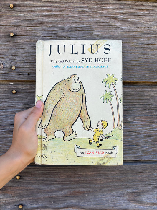 Julius book