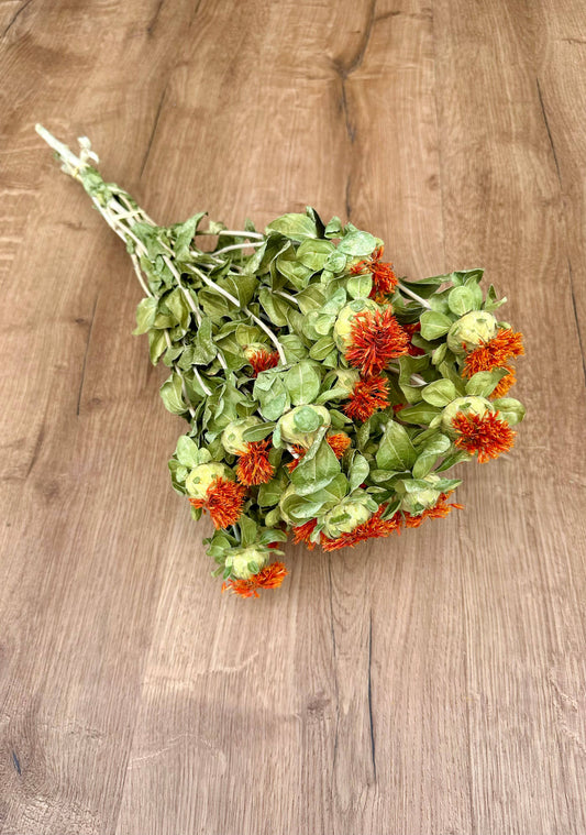 Dried Safflower | Orange