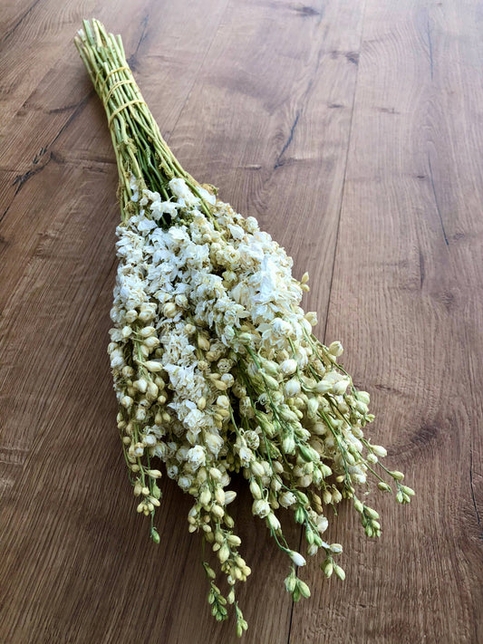 Dried Larkspur | White